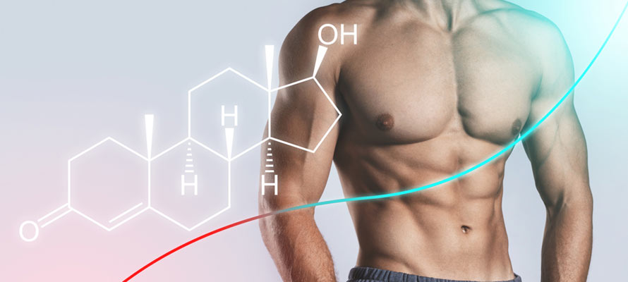 Discover How to Increase Testosterone Naturally!