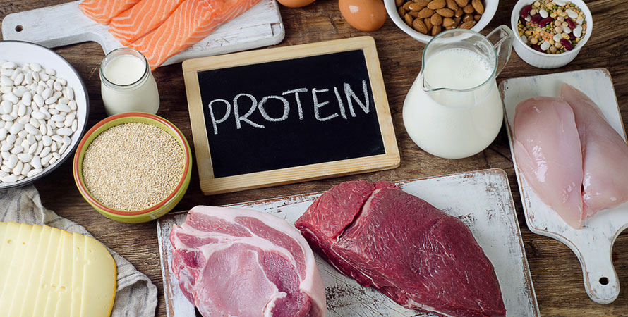 Protein Rich