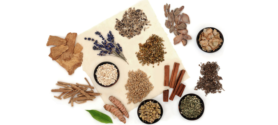 What Are 10 Powerful Herbs for Natural Stress Relief?