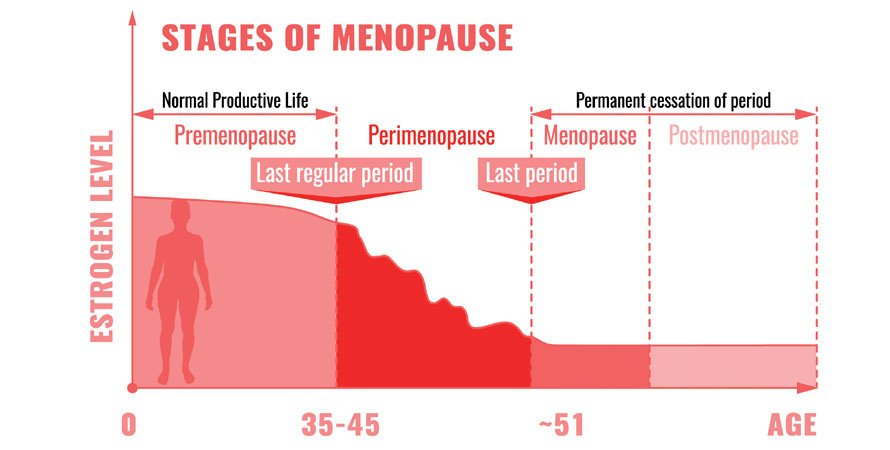 Stages of Menopause